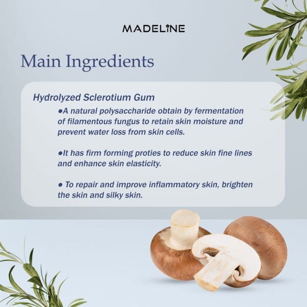 Madeline 100 seconds Daily Mask (3pcs) - Image 3